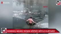Donmuş nehre düşen köpeği böyle kurtardı
