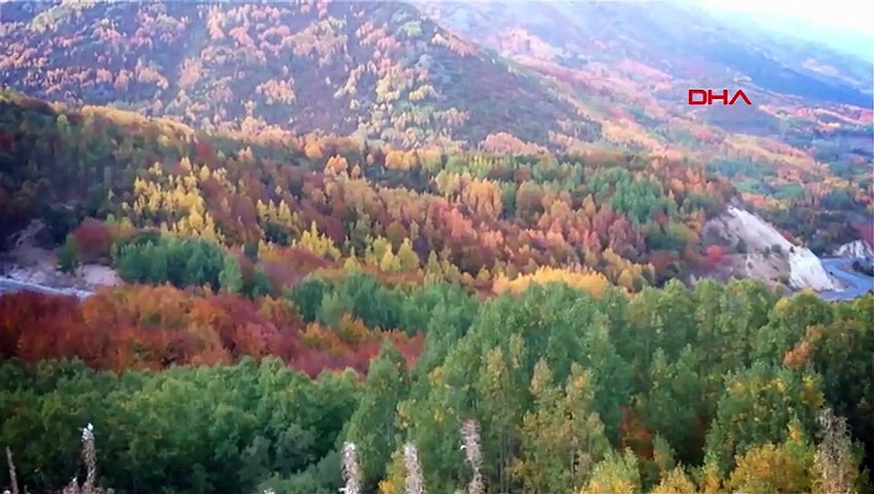 Burası Türkiye! Büyüleyici sonbahar renkleri