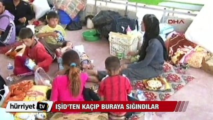 IŞİD'ten kaçıp buraya sığındılar