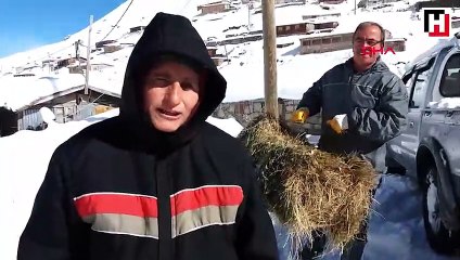 Doğu Karadeniz'de yaylacılar kara yakalandı