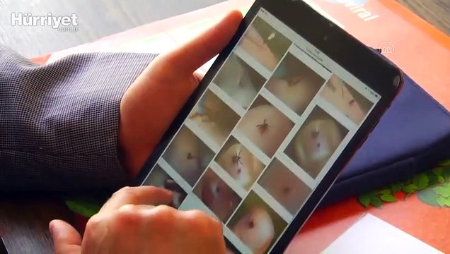 Kenedeki 'erken uyanış' Kırım Kongo Kanamalı Ateşi vakalarını artırdı