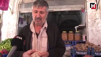 Yoğun yağış sonrası çıkan Dolaman mantarının kilosu 125 lira