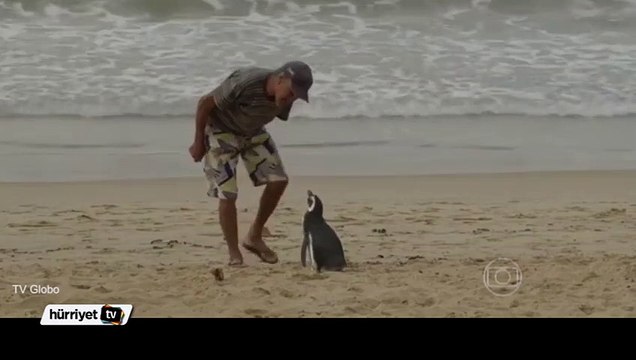 En yakın dostu bir penguen