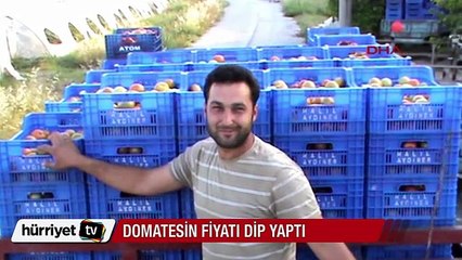 Domates fiyatı dip yaptı, kasası 1 lira