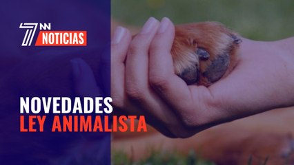 La ley animalista obligará a tener asistencia veterinaria las 24 horas a pueblos que ni siquiera tienen médico