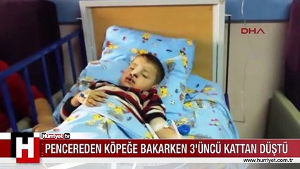 PENCEREDEN KÖPEĞE BAKARKEN 3'ÜNCÜ KATTAN DÜŞTÜ