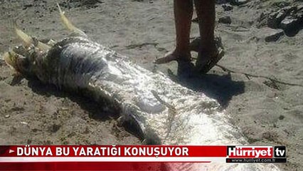 DÜNYANIN KONUŞTUĞU YARATIK