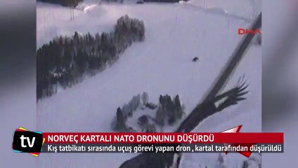 Norveç kartalı NATO dronunu düşürdü