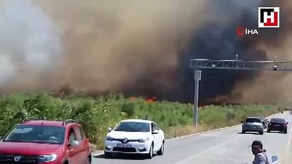 Körfez sahili alev alev