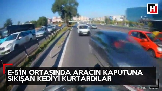 E-5'in ortasında araç motoruna sıkışan kediyi kurtarma telaşı kamerada