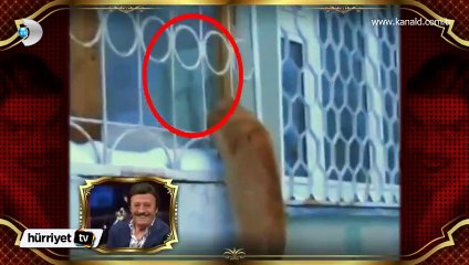 Selami Şahin'in şarkılarını duyanların hali