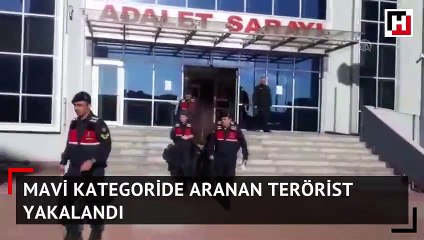 Mavi kategoride aranan terörist yakalandı