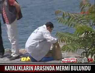 KARTAL SAHİLİNDE MERMİ BULUNDU