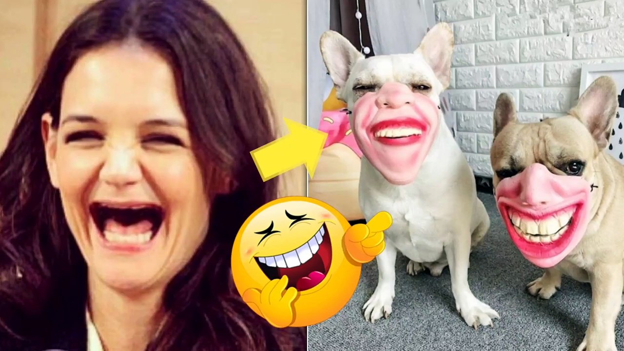 Funniest Pet's Compilation 2022
