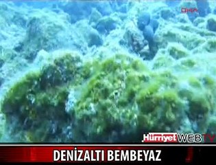 MARMARİS'TEKİ BEYAZ ÖRTÜ KORKUTTU