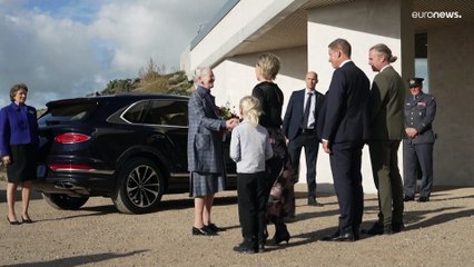 Die Spuren des Meteoriten: Ein dänisches Museum erzählt vom großen Artensterben
