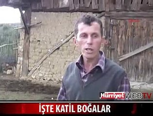 MEMATİ VE ABDÜLHEY YAŞLI ADAMI ÖLDÜRDÜ