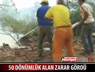 50 DÖNÜMLÜK ALAN KÜL OLDU