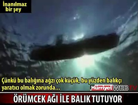 İNANILMAZ AMA GERÇEK