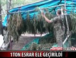 PKK'NIN ESRAR TARLASI ORTAYA ÇIKTI