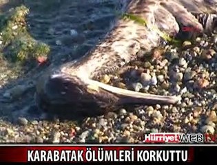 KARABATAK ÖLÜMLERİ KORKUTTU