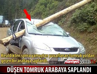 BAL DİYE BUNA DENİR