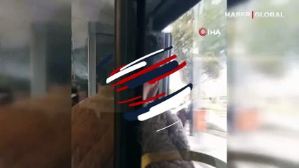 İETT otobüsünde pes dedirten yolculuk!