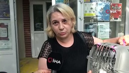 Bursa’da tedavi gören can dostlara ‘koruyucu aileler’ aranıyor