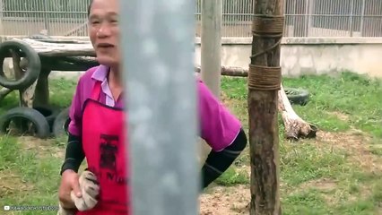 Moments When Wild Animals And Humans Are Friendly To Each