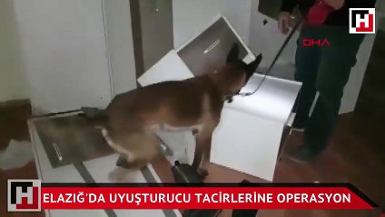 Elazığ'da uyuşturucu tacirlerine operasyon