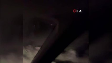 Köy yoluna inen ayılar kameralara yansıdı