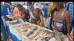 Feria del Cardumen abastece las Pquias. caraqueñas con 50 mil Kilos de pescado a precios solidarios