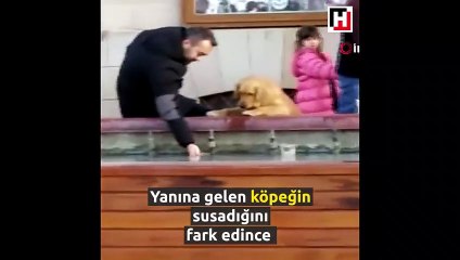 Susayan köpeğe elleriyle su içirdi