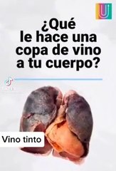 Que le hace una copa de vino a tu cuerpo?      What does a glass of wine do to your body?