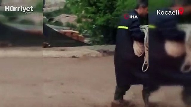 Kocaeli'de sel suları arasında sırtında köpeği ile kalan kadını ekipler kurtardı