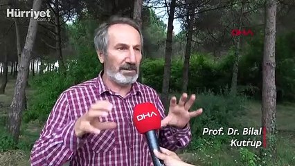 Trabzonluların 'yılan' endişesi! Yöre halkı tedirgin