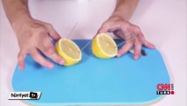 Limondan nasıl elektrik üretilir