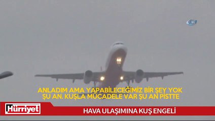Sabiha Gökçen Havalimanı'nda hava ulaşımına kuş engeli
