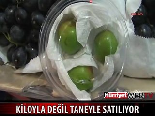 YEŞİL ERİĞİN KİLOSU 500 TL, 3 TANESİ 25 TL