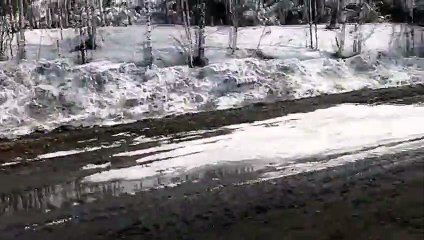 Toprak kayması yolu yuttu
