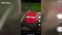 Emre Sayar'ın daha önce de köpeğe eziyet ettiği görüntüler ortaya çıktı