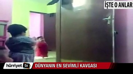 Dünyanın en sevimli kavgası