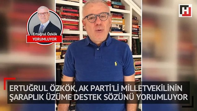 Ertuğrul Özkök, AK Partili milletvekilinin şaraplık üzüme destek sözünü yorumluyor