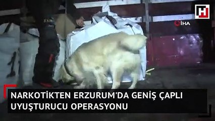 Erzurum'da geniş çaplı uyuşturucu operasyonu
