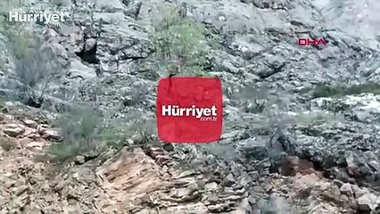 İlçeye inen dağ keçilerini görüntüledi, sözleriyle izleyenleri gülümsetti