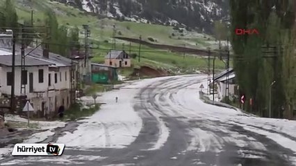 Erzurum'da ceviz büyüklüğünde dolu yağdı