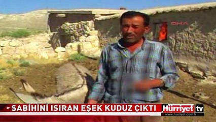 SABİHİNİ ISIRAN EŞEK KUDUZ ÇIKTI