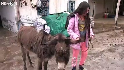 İşkence edildiği iddia edilen eşek geçici olarak 10 yaşındaki çocuğa verildi