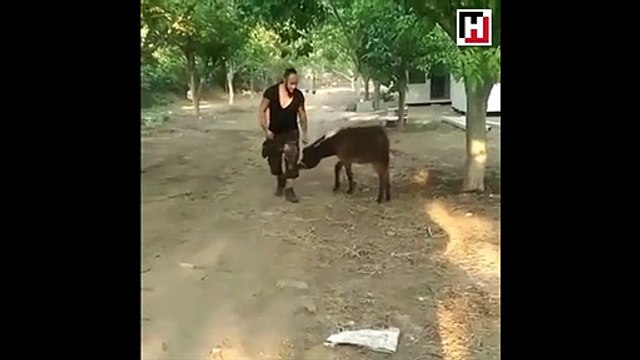 Hayko Cepkin'in çok konuşulan görüntüleri!