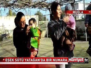 İYİLEŞMEK İÇİN BARDAK BARDAK EŞEK SÜTÜ İÇİYORLAR